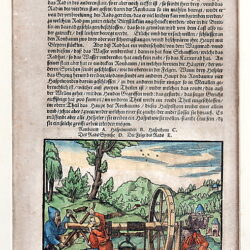 Kunstauktion Engel Koblenz Auktion 180 Buchseite