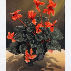 Kunstauktion Engel Koblenz Auktion 180 Noske